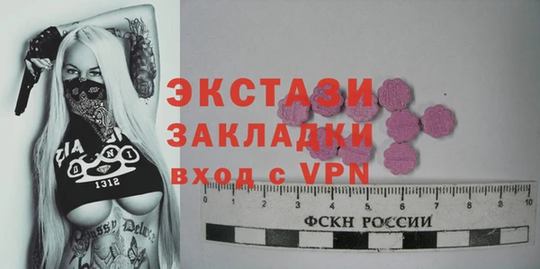 стаф Горняк