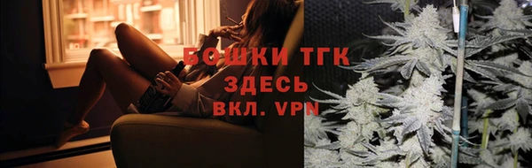 стаф Горняк
