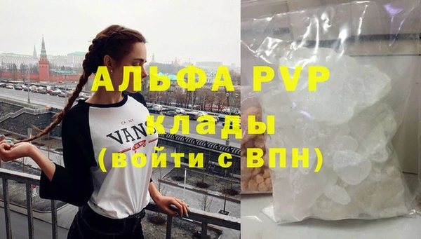 стаф Горняк