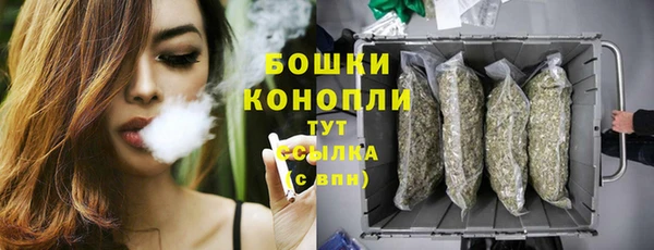 бутират Гусь-Хрустальный