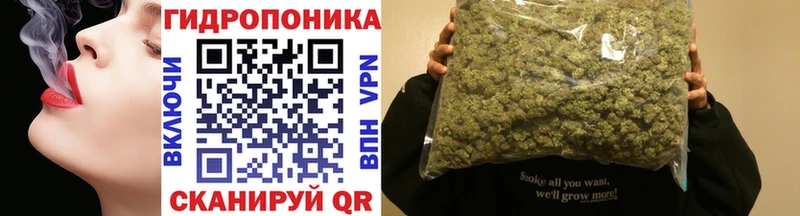 Шишки марихуана Amnesia  Купить где  Луховицы 